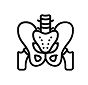 Gynecology Icon